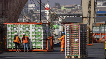 Con un aumento de 18% en toneladas transferidas respecto al 2020 Puerto de Coquimbo cerró temporada de la fruta