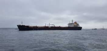 Región del Biobío exporta US$ 371,8 millones en Enero: Sector Industrial se contrae mientras Silvoagropecuario y Resto de Exportaciones registran alzas