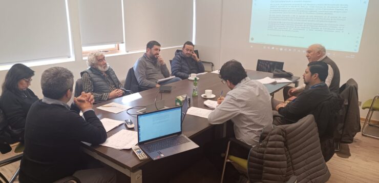 Comité técnico asesor del Consejo Ciudad Puerto de Aysén reanuda sesiones y fija programa anual de trabajo