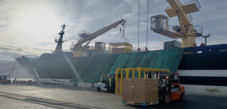 Puerto de Iquique recibe nuevo buque factoría para mercados de Europa y África